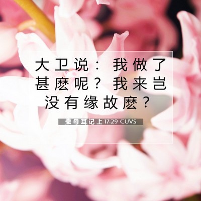 Picture 07 - 撒 母 耳 记 上 17:29 CUVS - 大 卫 说 ： 我 做 了 甚 麽 呢 ？ 我 - Bible Verse Picture