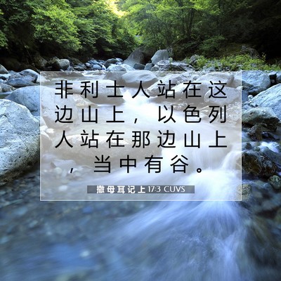 Picture 07 - 撒 母 耳 记 上 17:3 CUVS - 非 利 士 人 站 在 这 边 山 上 ， 以 - Bible Verse Picture