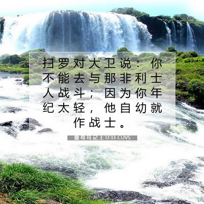 Picture 07 - 撒 母 耳 记 上 17:33 CUVS - 扫 罗 对 大 卫 说 ： 你 不 能 去 与 - Bible Verse Picture