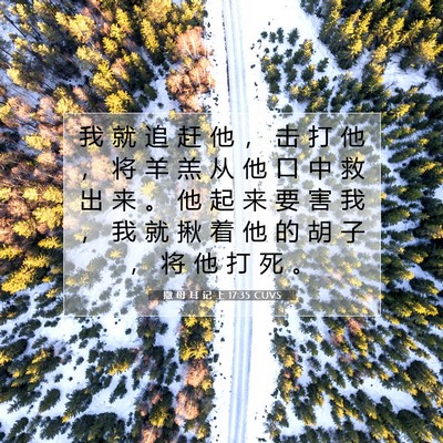 Picture 07 - 撒 母 耳 记 上 17:35 CUVS - 我 就 追 赶 他 ， 击 打 他 ， 将 羊 - Bible Verse Picture