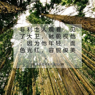 Picture 07 - 撒 母 耳 记 上 17:42 CUVS - 非 利 士 人 观 看 ， 见 了 大 卫 ， - Bible Verse Picture