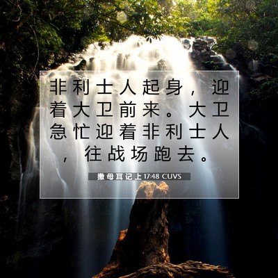 Picture 07 - 撒 母 耳 记 上 17:48 CUVS - 非 利 士 人 起 身 ， 迎 着 大 卫 前 - Bible Verse Picture