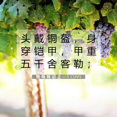 Picture 07 - 撒 母 耳 记 上 17:5 CUVS - 头 戴 铜 盔 ， 身 穿 铠 甲 ， 甲 重 - Bible Verse Picture