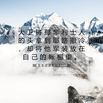 Picture 07 - 撒 母 耳 记 上 17:54 CUVS - 大 卫 将 那 非 利 士 人 的 头 拿 到 - Bible Verse Picture