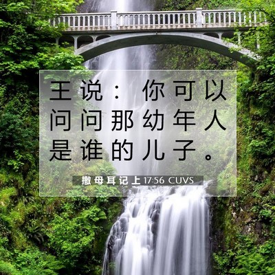 Picture 07 - 撒 母 耳 记 上 17:56 CUVS - 王 说 ： 你 可 以 问 问 那 幼 年 人 - Bible Verse Picture