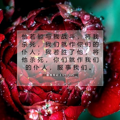 Picture 07 - 撒 母 耳 记 上 17:9 CUVS - 他 若 能 与 我 战 斗 ， 将 我 杀 死 - Bible Verse Picture