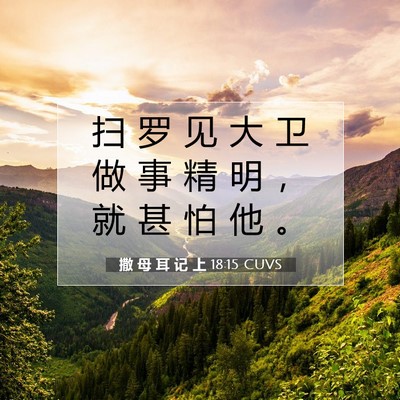 Picture 07 - 撒 母 耳 记 上 18:15 CUVS - 扫 罗 见 大 卫 做 事 精 明 ， 就 甚 - Bible Verse Picture