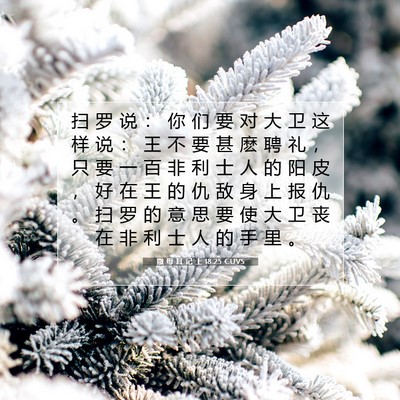 Picture 07 - 撒 母 耳 记 上 18:25 CUVS - 扫 罗 说 ： 你 们 要 对 大 卫 这 样 - Bible Verse Picture