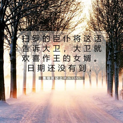 Picture 07 - 撒 母 耳 记 上 18:26 CUVS - 扫 罗 的 臣 仆 将 这 话 告 诉 大 卫 - Bible Verse Picture