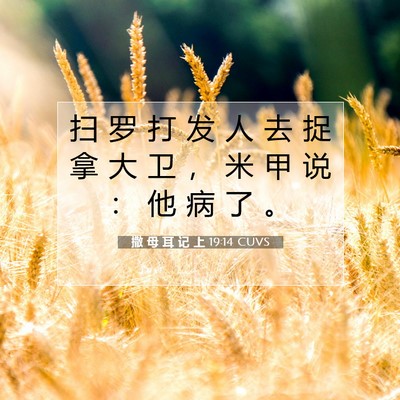 Picture 07 - 撒 母 耳 记 上 19:14 CUVS - 扫 罗 打 发 人 去 捉 拿 大 卫 ， 米 - Bible Verse Picture