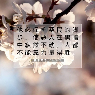Picture 07 - 撒 母 耳 记 上 2:9 CUVS - 他 必 保 护 圣 民 的 脚 步 ， 使 恶 - Bible Verse Picture