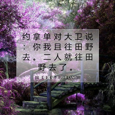Picture 07 - 撒 母 耳 记 上 20:11 CUVS - 约 拿 单 对 大 卫 说 ： 你 我 且 往 - Bible Verse Picture
