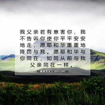Picture 07 - 撒 母 耳 记 上 20:13 CUVS - 我 父 亲 若 有 意 害 你 ， 我 不 告 - Bible Verse Picture