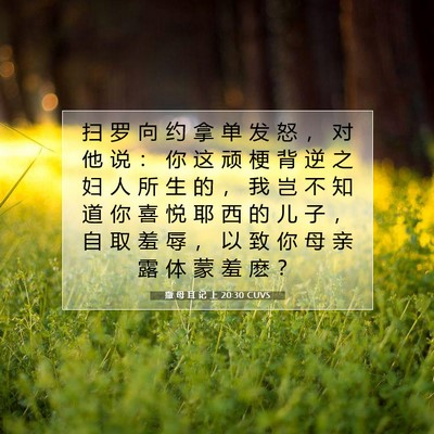 Picture 07 - 撒 母 耳 记 上 20:30 CUVS - 扫 罗 向 约 拿 单 发 怒 ， 对 他 说 - Bible Verse Picture