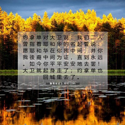 Picture 07 - 撒 母 耳 记 上 20:42 CUVS - 约 拿 单 对 大 卫 说 ： 我 们 二 人 - Bible Verse Picture