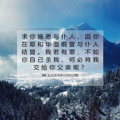 Picture 07 - 撒 母 耳 记 上 20:8 CUVS - 求 你 施 恩 与 仆 人 ， 因 你 在 耶 - Bible Verse Picture