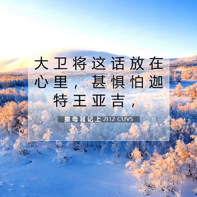 Picture 07 - 撒 母 耳 记 上 21:12 CUVS - 大 卫 将 这 话 放 在 心 里 ， 甚 惧 - Bible Verse Picture