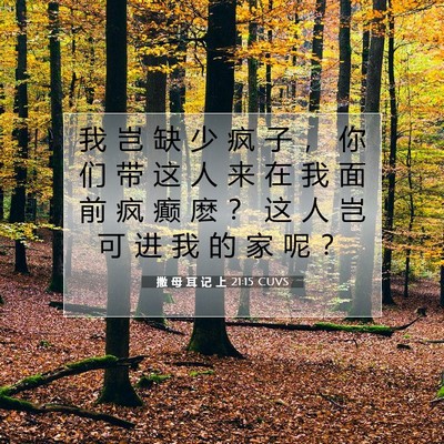 Picture 07 - 撒 母 耳 记 上 21:15 CUVS - 我 岂 缺 少 疯 子 ， 你 们 带 这 人 - Bible Verse Picture