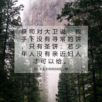 Picture 07 - 撒 母 耳 记 上 21:4 CUVS - 祭 司 对 大 卫 说 ： 我 手 下 没 有 - Bible Verse Picture