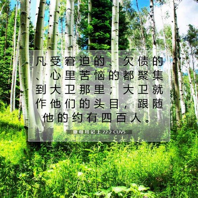 Picture 07 - 撒 母 耳 记 上 22:2 CUVS - 凡 受 窘 迫 的 、 欠 债 的 、 心 里 - Bible Verse Picture