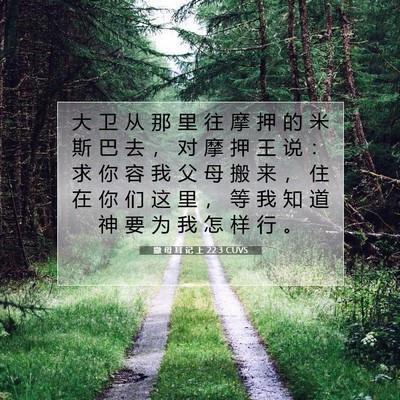 Picture 07 - 撒 母 耳 记 上 22:3 CUVS - 大 卫 从 那 里 往 摩 押 的 米 斯 巴 - Bible Verse Picture