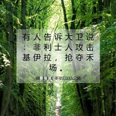 Picture 07 - 撒 母 耳 记 上 23:1 CUVS - 有 人 告 诉 大 卫 说 ： 非 利 士 人 - Bible Verse Picture