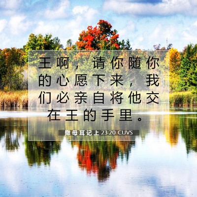 Picture 07 - 撒 母 耳 记 上 23:20 CUVS - 王 啊 ， 请 你 随 你 的 心 愿 下 来 - Bible Verse Picture