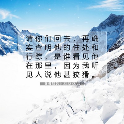 Picture 07 - 撒 母 耳 记 上 23:22 CUVS - 请 你 们 回 去 ， 再 确 实 查 明 他 - Bible Verse Picture