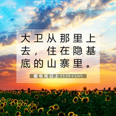 Picture 07 - 撒 母 耳 记 上 23:29 CUVS - 大 卫 从 那 里 上 去 ， 住 在 隐 基 - Bible Verse Picture