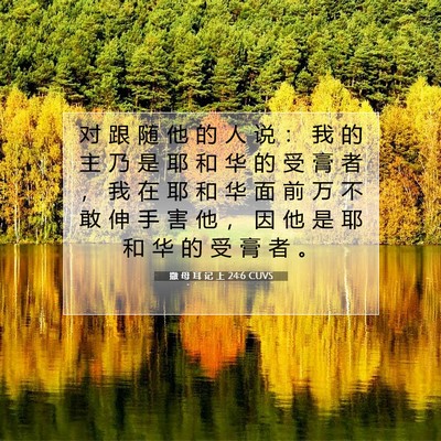 Picture 07 - 撒 母 耳 记 上 24:6 CUVS - 对 跟 随 他 的 人 说 ： 我 的 主 乃 - Bible Verse Picture