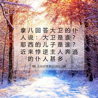 Picture 07 - 撒 母 耳 记 上 25:10 CUVS - 拿 八 回 答 大 卫 的 仆 人 说 ： 大 - Bible Verse Picture