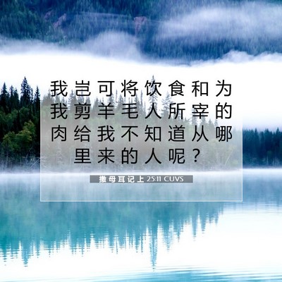 Picture 07 - 撒 母 耳 记 上 25:11 CUVS - 我 岂 可 将 饮 食 和 为 我 剪 羊 毛 - Bible Verse Picture