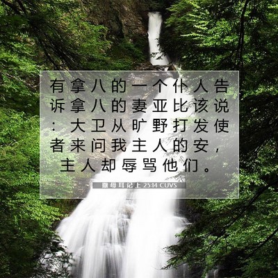 Picture 07 - 撒 母 耳 记 上 25:14 CUVS - 有 拿 八 的 一 个 仆 人 告 诉 拿 八 - Bible Verse Picture
