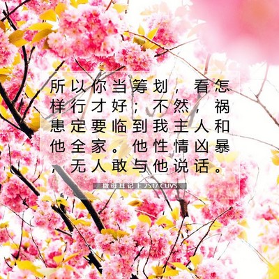 Picture 07 - 撒 母 耳 记 上 25:17 CUVS - 所 以 你 当 筹 划 ， 看 怎 样 行 才 - Bible Verse Picture