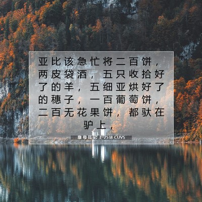Picture 07 - 撒 母 耳 记 上 25:18 CUVS - 亚 比 该 急 忙 将 二 百 饼 ， 两 皮 - Bible Verse Picture