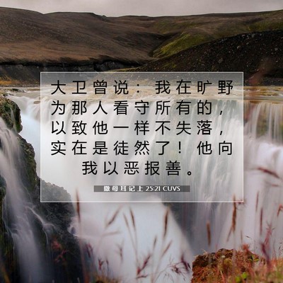 Picture 07 - 撒 母 耳 记 上 25:21 CUVS - 大 卫 曾 说 ： 我 在 旷 野 为 那 人 - Bible Verse Picture