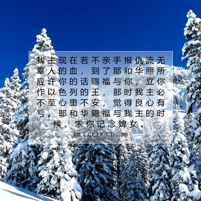 Picture 07 - 撒 母 耳 记 上 25:30 CUVS - 我 主 现 在 若 不 亲 手 报 仇 流 无 - Bible Verse Picture