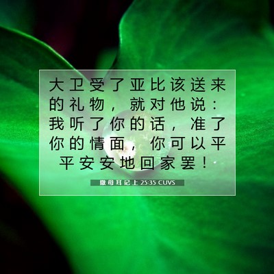 Picture 07 - 撒 母 耳 记 上 25:35 CUVS - 大 卫 受 了 亚 比 该 送 来 的 礼 物 - Bible Verse Picture