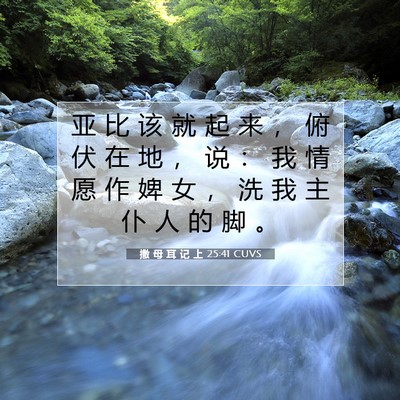 Picture 07 - 撒 母 耳 记 上 25:41 CUVS - 亚 比 该 就 起 来 ， 俯 伏 在 地 ， - Bible Verse Picture