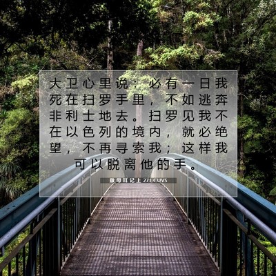 Picture 07 - 撒 母 耳 记 上 27:1 CUVS - 大 卫 心 里 说 ： 必 有 一 日 我 死 - Bible Verse Picture