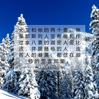 Picture 07 - 撒 母 耳 记 上 27:3 CUVS - 大 卫 和 他 的 两 个 妻 ， 就 是 耶 - Bible Verse Picture