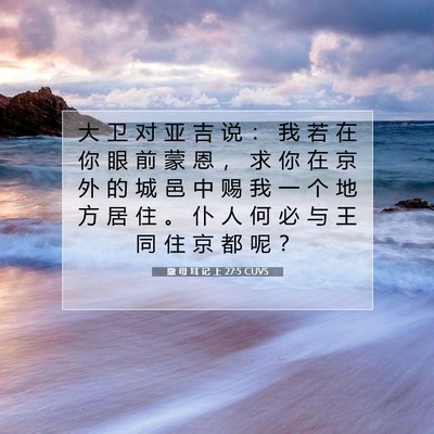Picture 07 - 撒 母 耳 记 上 27:5 CUVS - 大 卫 对 亚 吉 说 ： 我 若 在 你 眼 - Bible Verse Picture