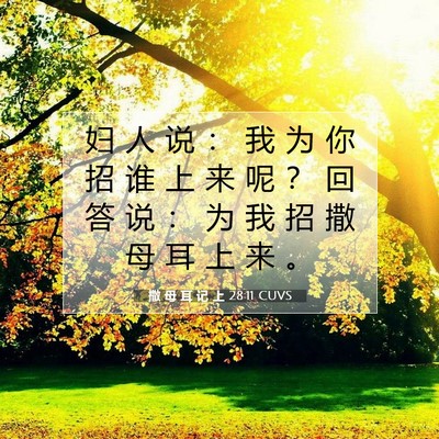 Picture 07 - 撒 母 耳 记 上 28:11 CUVS - 妇 人 说 ： 我 为 你 招 谁 上 来 呢 - Bible Verse Picture