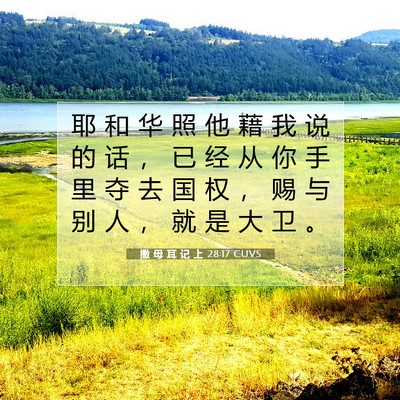 Picture 07 - 撒 母 耳 记 上 28:17 CUVS - 耶 和 华 照 他 藉 我 说 的 话 ， 已 - Bible Verse Picture