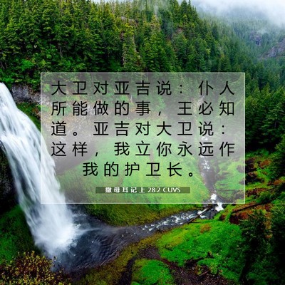 Picture 07 - 撒 母 耳 记 上 28:2 CUVS - 大 卫 对 亚 吉 说 ： 仆 人 所 能 做 - Bible Verse Picture