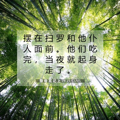 Picture 07 - 撒 母 耳 记 上 28:25 CUVS - 摆 在 扫 罗 和 他 仆 人 面 前 。 他 - Bible Verse Picture