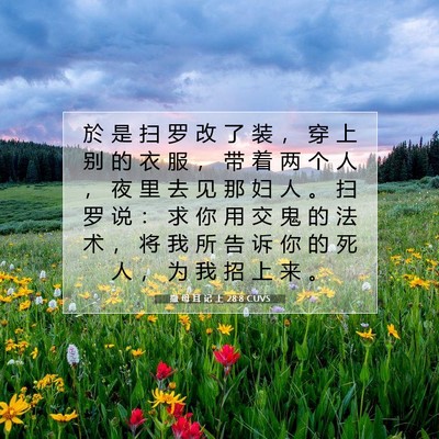 Picture 07 - 撒 母 耳 记 上 28:8 CUVS - 於 是 扫 罗 改 了 装 ， 穿 上 别 的 - Bible Verse Picture