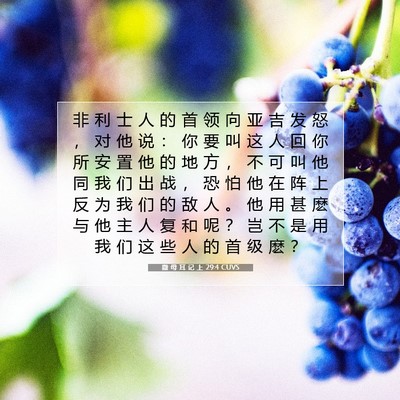 Picture 07 - 撒 母 耳 记 上 29:4 CUVS - 非 利 士 人 的 首 领 向 亚 吉 发 怒 - Bible Verse Picture