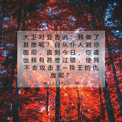Picture 07 - 撒 母 耳 记 上 29:8 CUVS - 大 卫 对 亚 吉 说 ： 我 做 了 甚 麽 - Bible Verse Picture