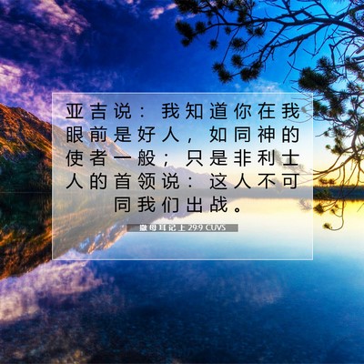 Picture 07 - 撒 母 耳 记 上 29:9 CUVS - 亚 吉 说 ： 我 知 道 你 在 我 眼 前 - Bible Verse Picture